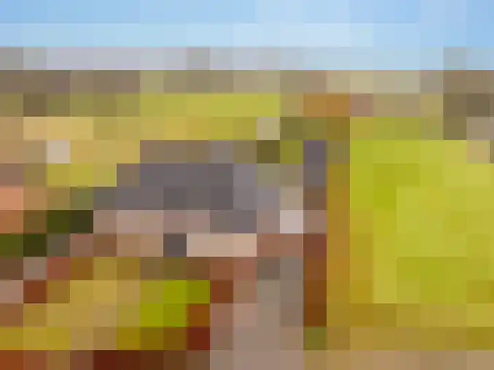 Weerwilleweg 24 Koekange thumbnail 74