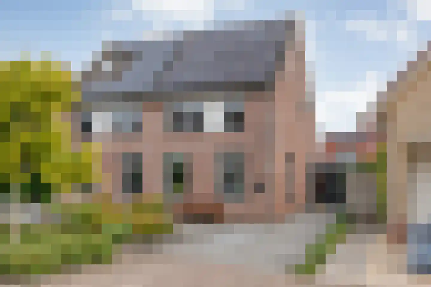 Weesboom 11 in Hasselt