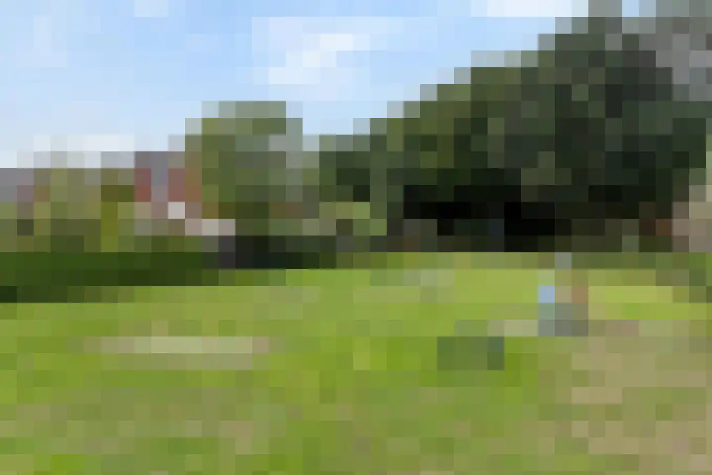 Weesboom 11 Hasselt thumbnail 10
