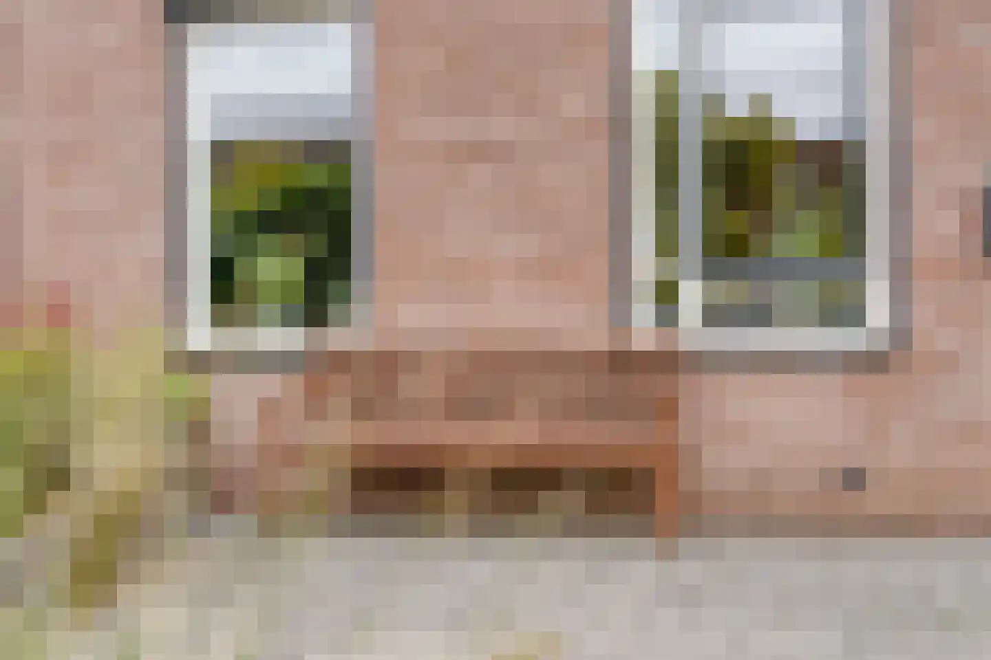 Weesboom 11 Hasselt thumbnail 12