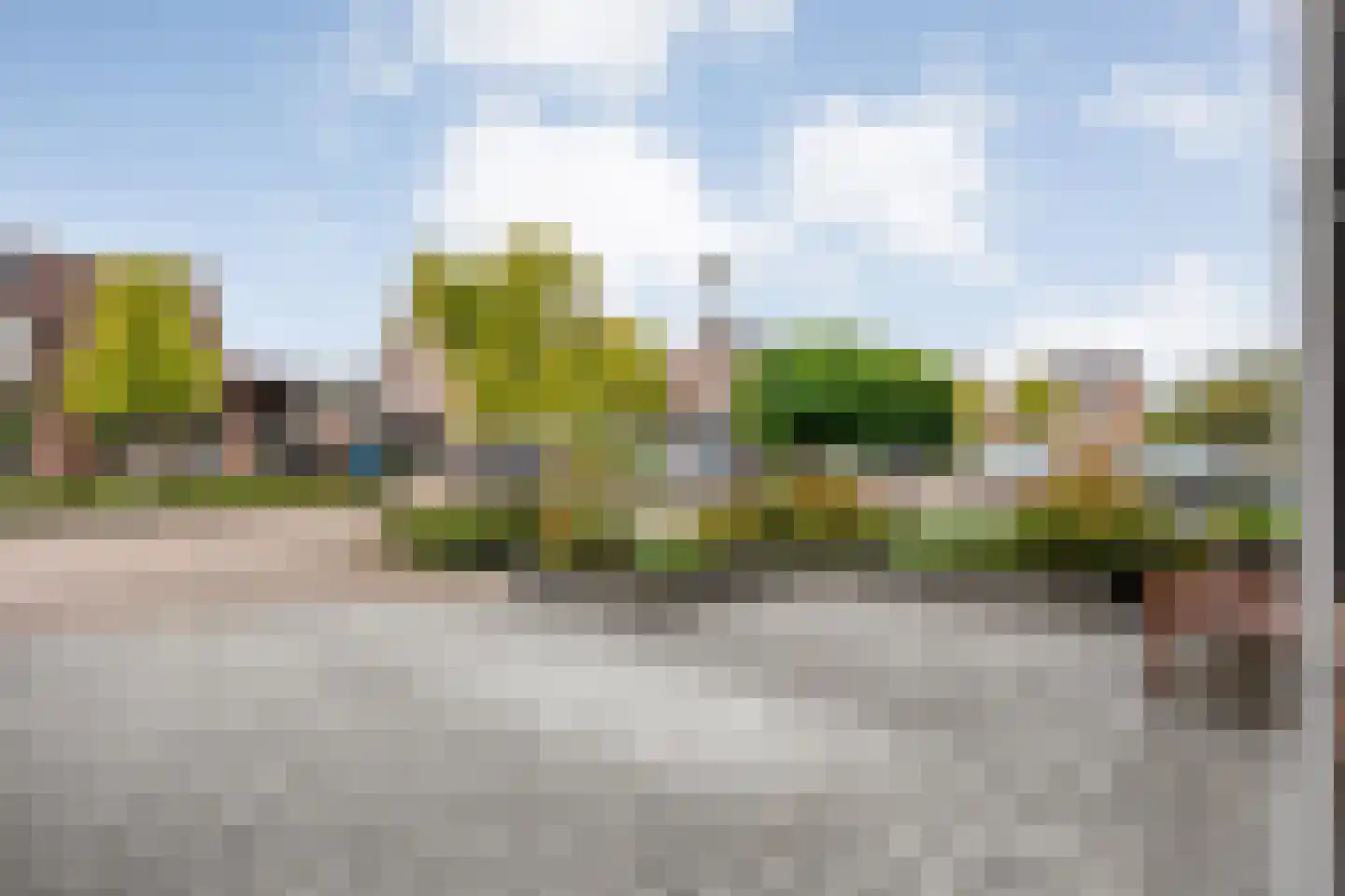Weesboom 11 Hasselt thumbnail 13