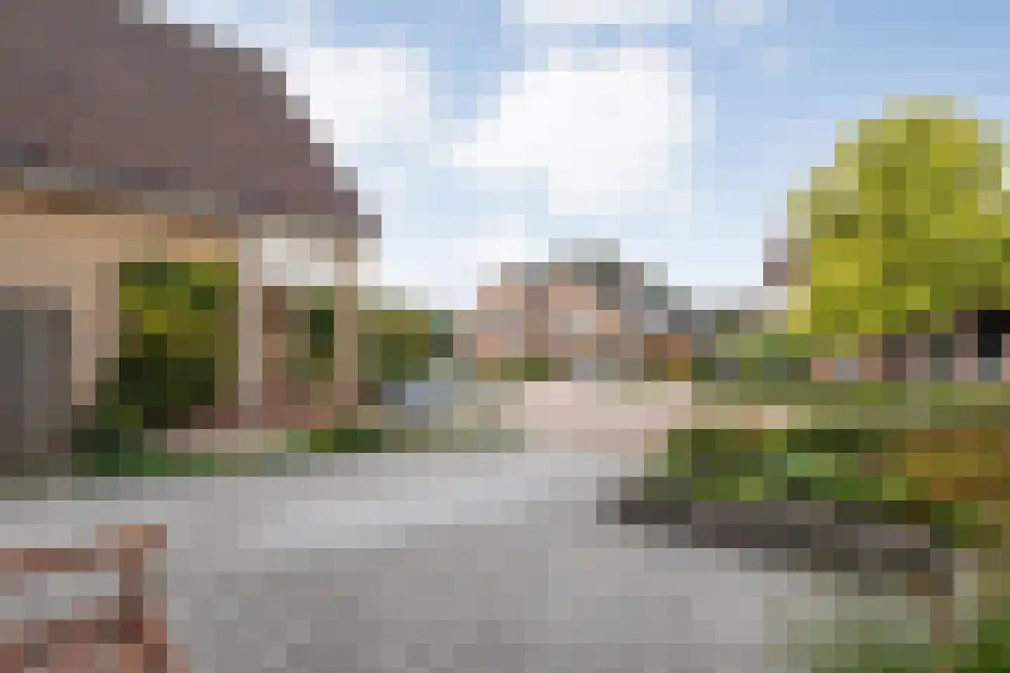Weesboom 11 Hasselt thumbnail 14