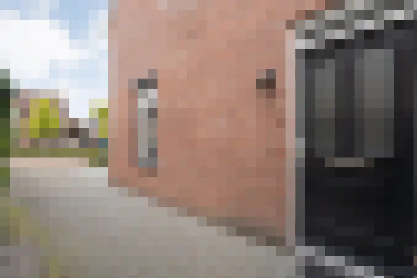 Weesboom 11 Hasselt thumbnail 15