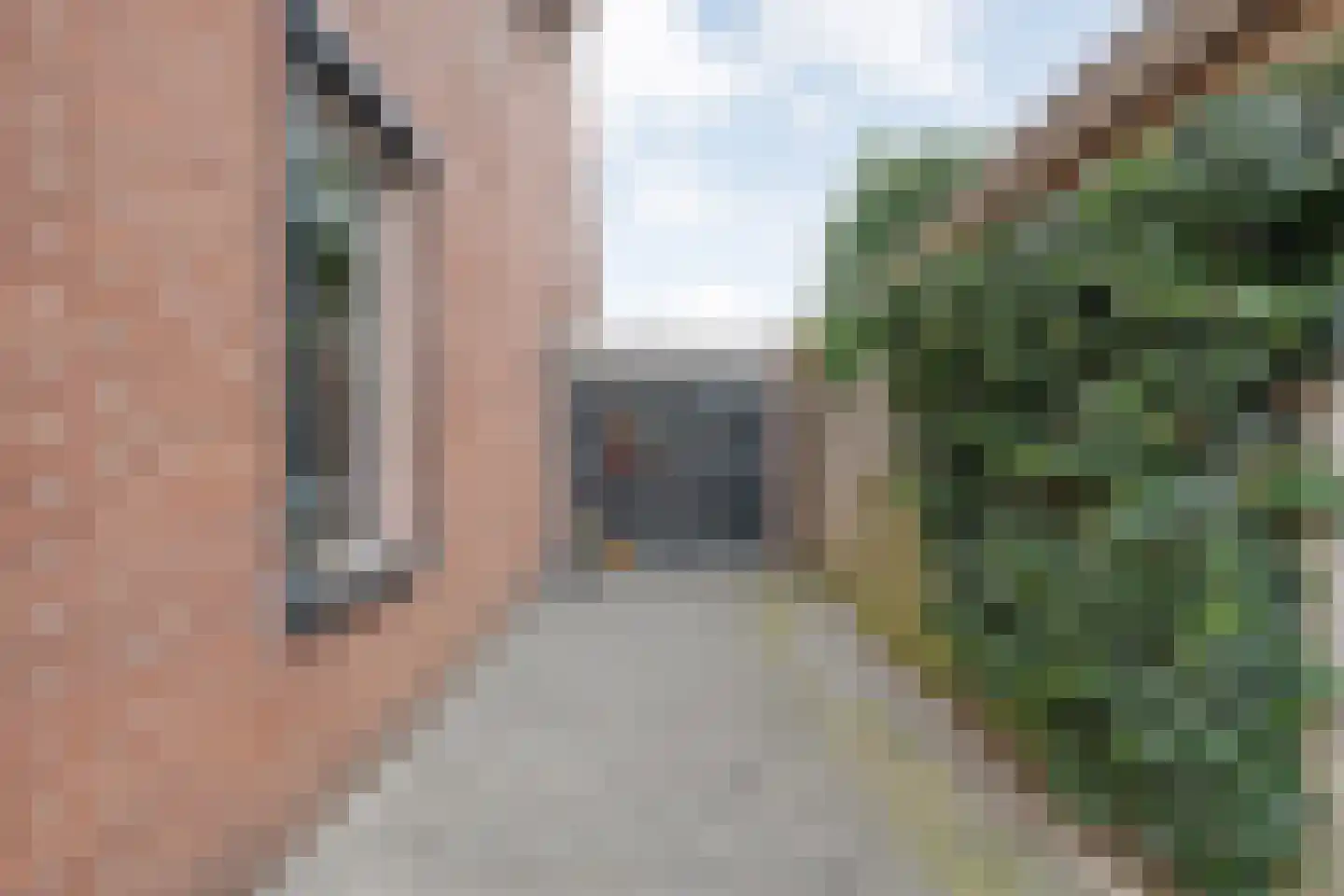 Weesboom 11 Hasselt thumbnail 16