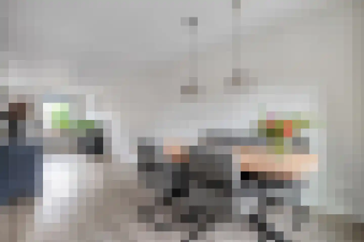 Weesboom 11 Hasselt thumbnail 34
