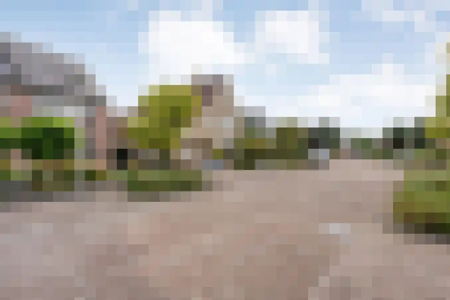 Weesboom 11 Hasselt thumbnail 4