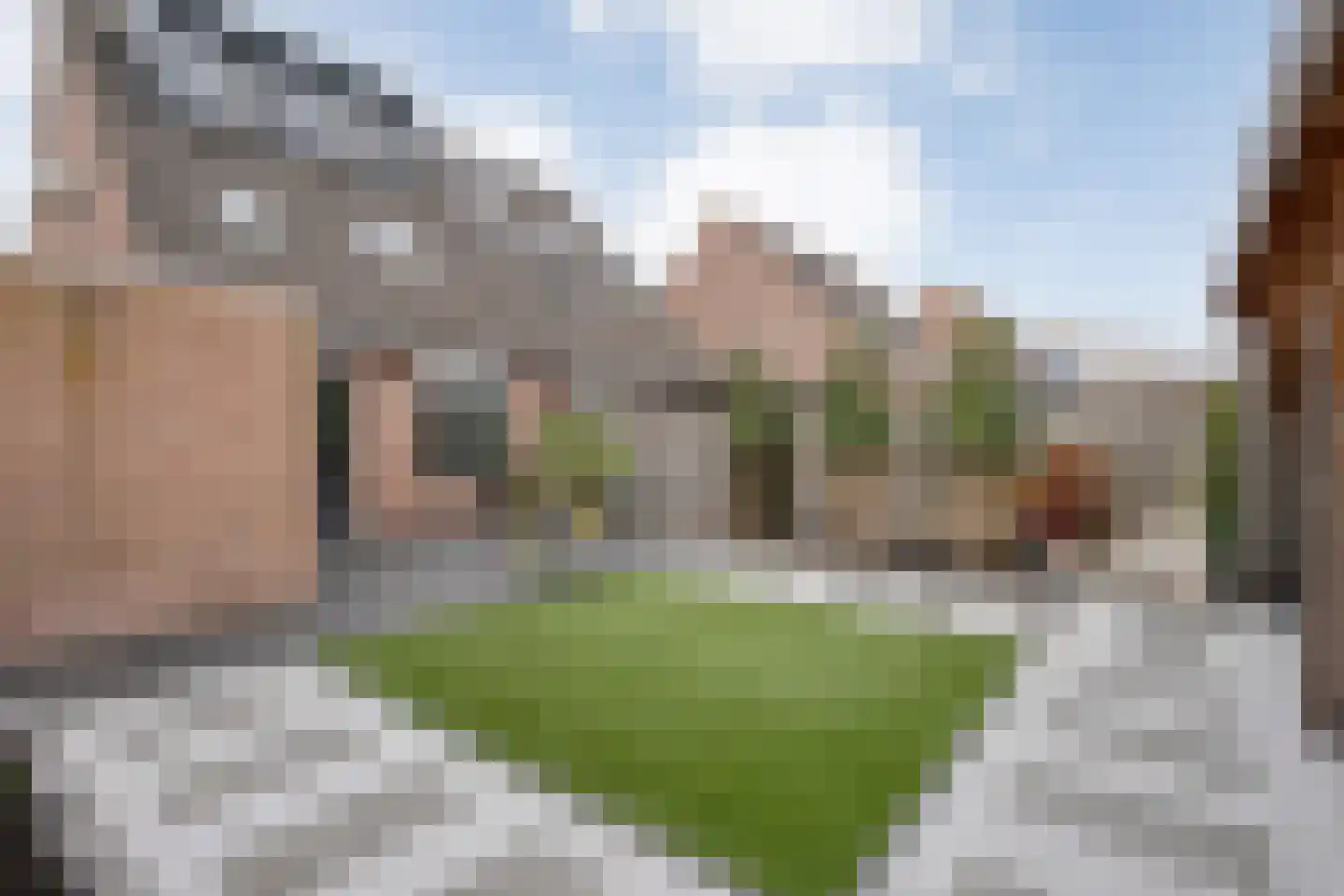 Weesboom 11 Hasselt thumbnail 58
