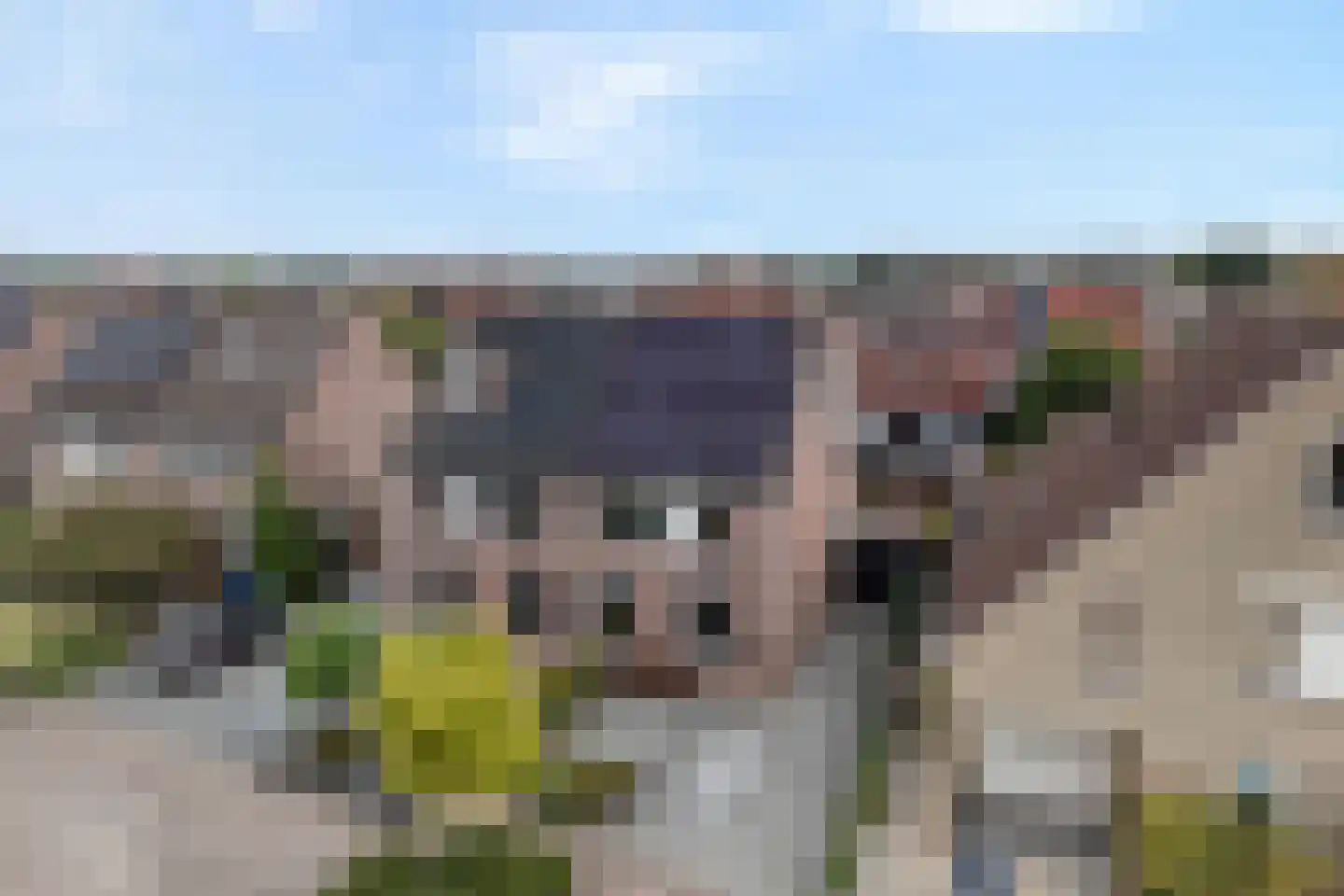 Weesboom 11 Hasselt thumbnail 6