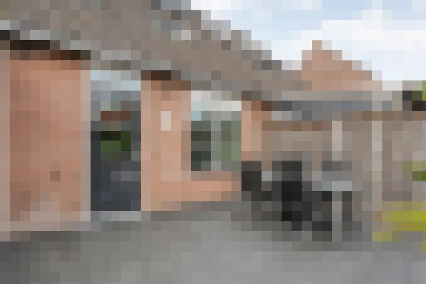 Weesboom 11 Hasselt thumbnail 60