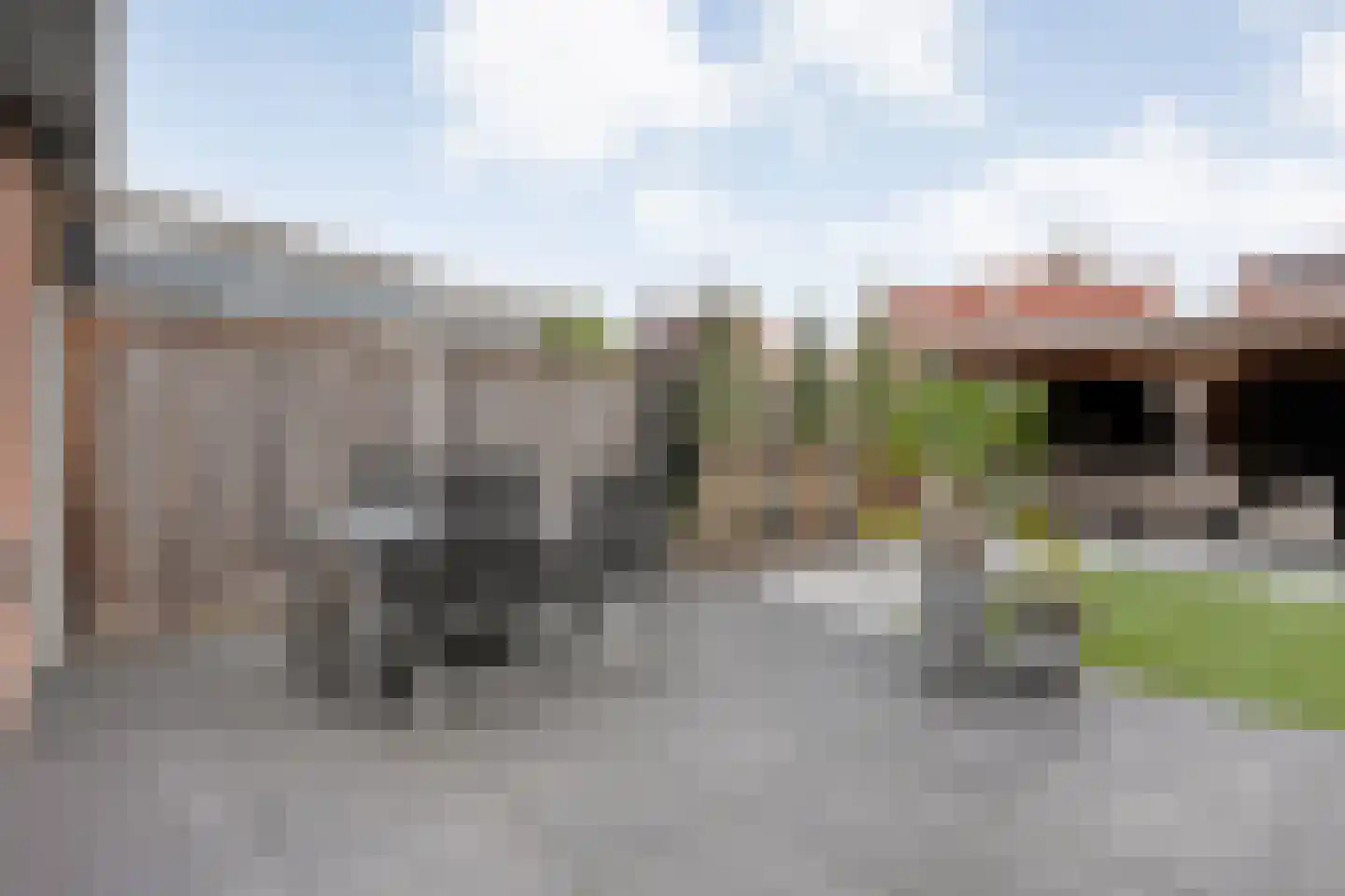 Weesboom 11 Hasselt thumbnail 61