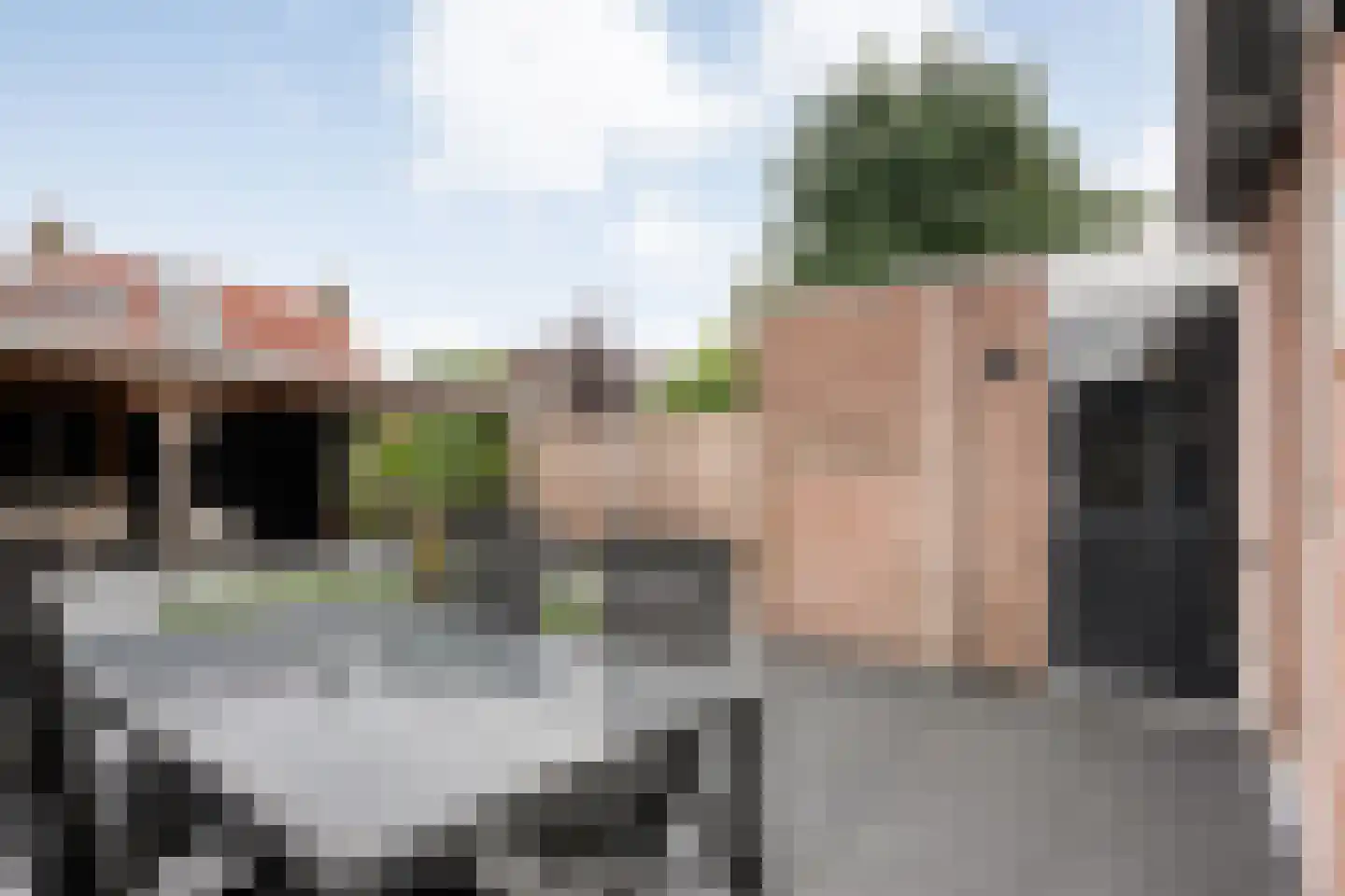 Weesboom 11 Hasselt thumbnail 62
