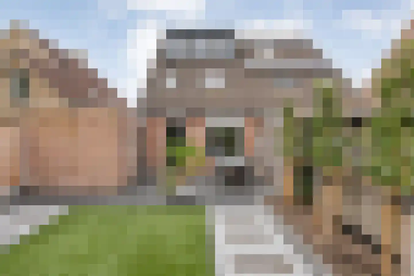 Weesboom 11 Hasselt thumbnail 64