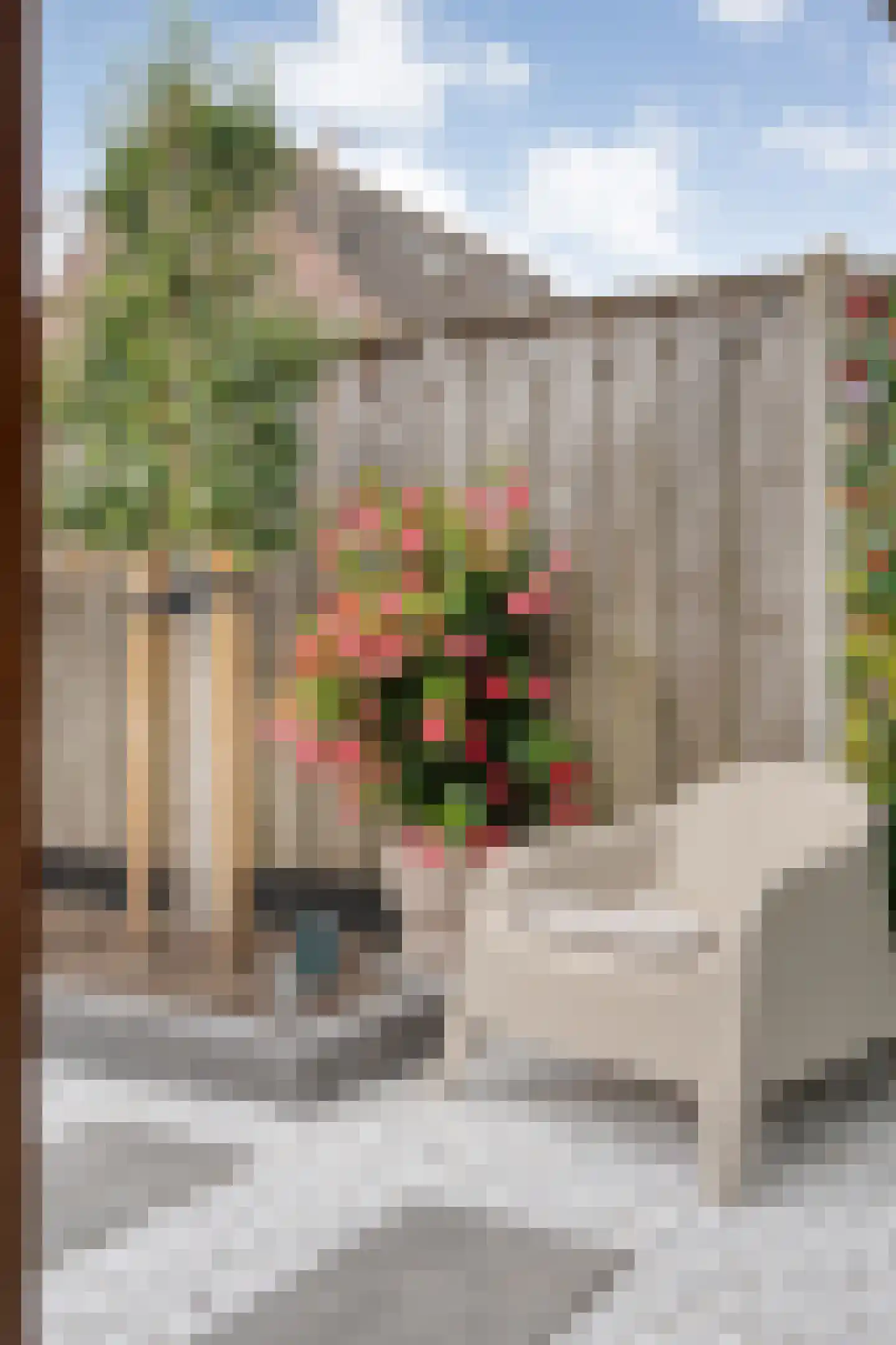 Weesboom 11 Hasselt thumbnail 67
