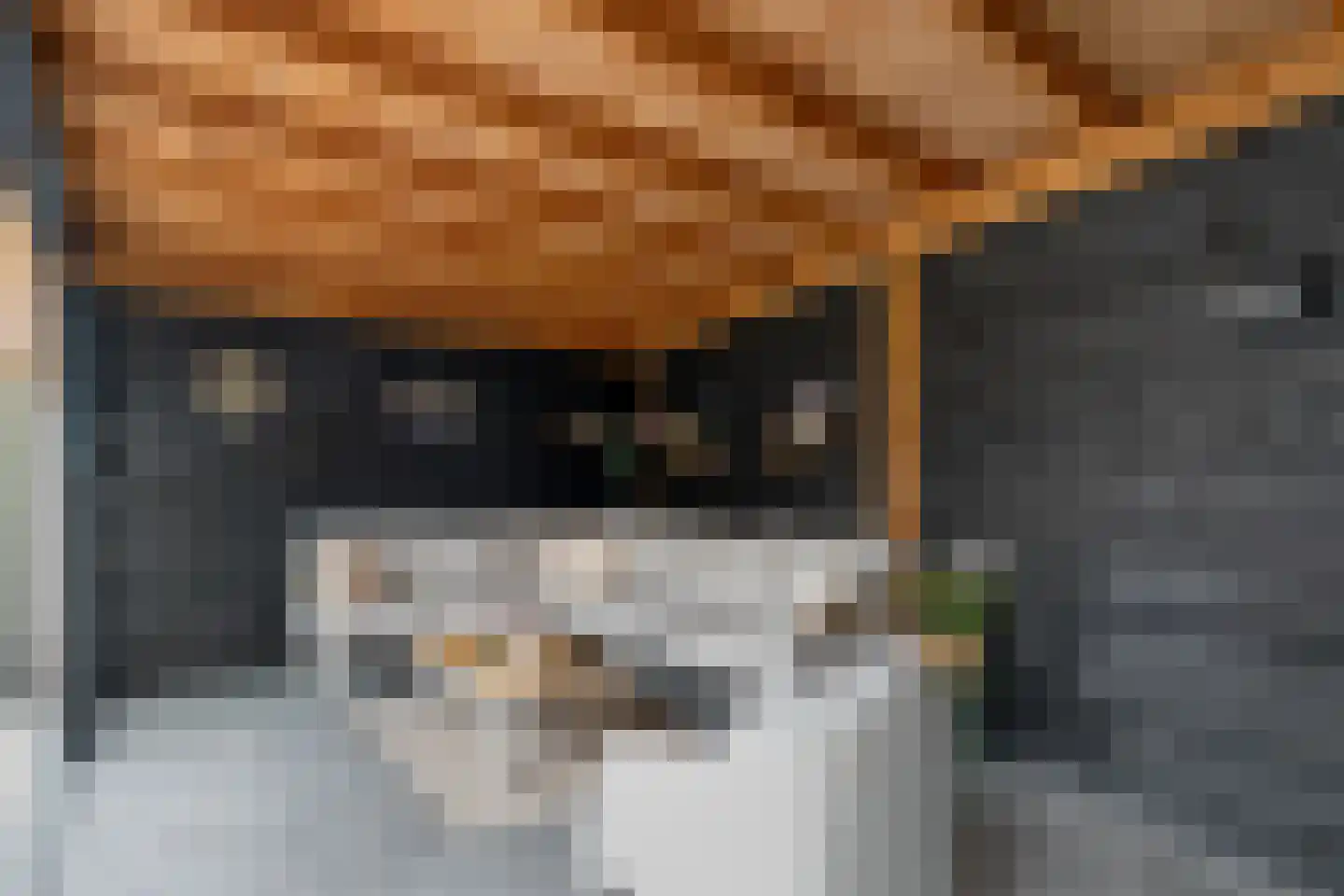 Weesboom 11 Hasselt thumbnail 69
