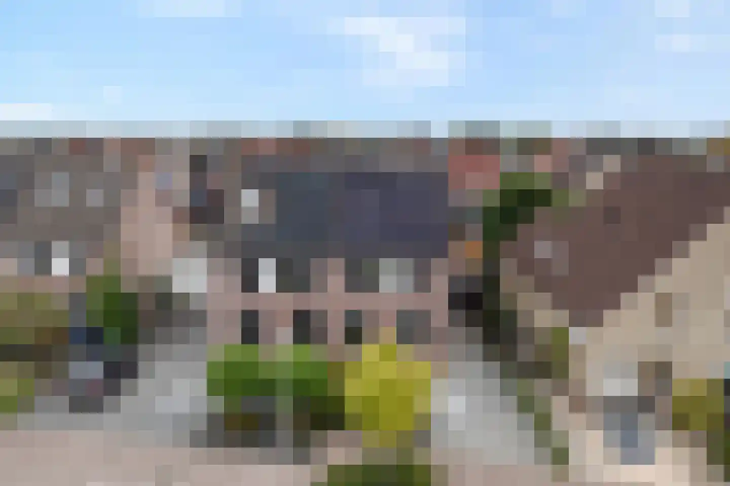 Weesboom 11 Hasselt thumbnail 7