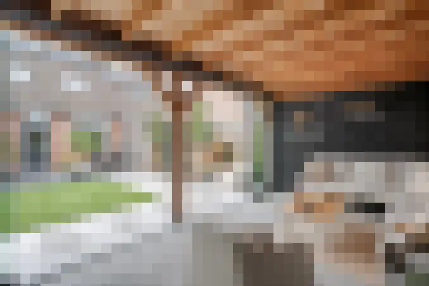 Weesboom 11 Hasselt thumbnail 70