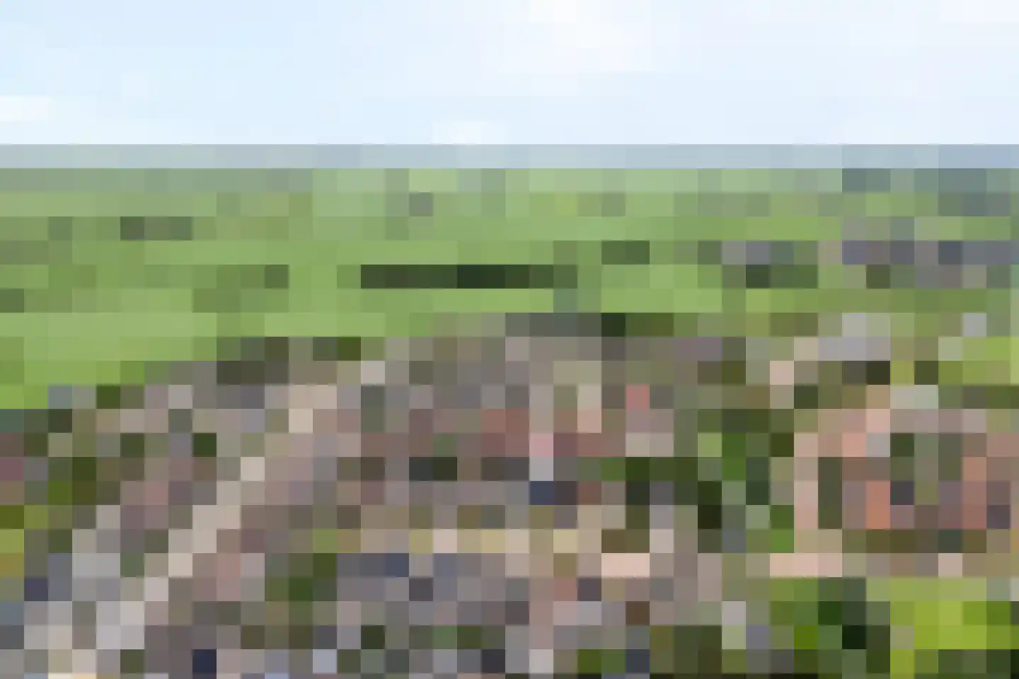 Weesboom 11 Hasselt thumbnail 8