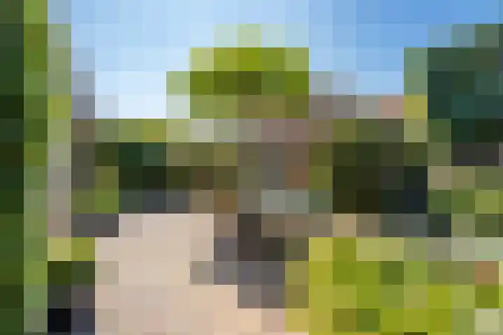 Weesdijk 15 Vianen thumbnail 4