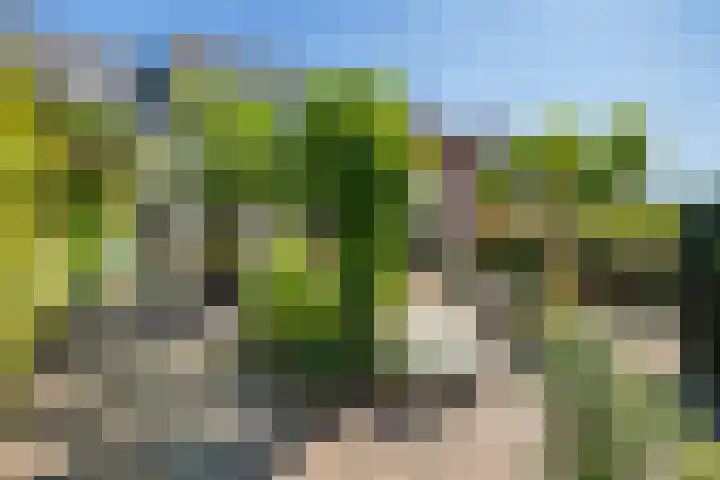 Weesdijk 15 Vianen thumbnail 41