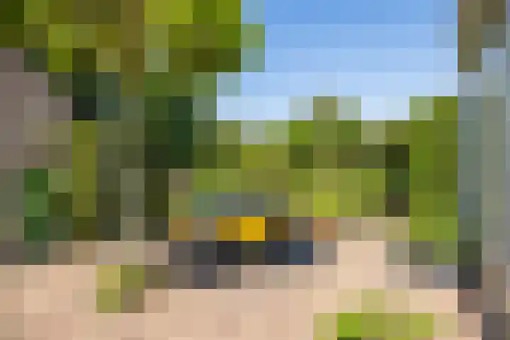 Weesdijk 15 Vianen thumbnail 44