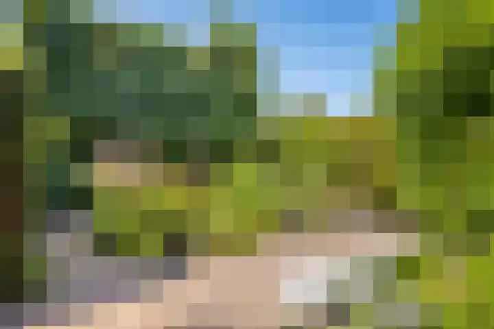 Weesdijk 15 Vianen thumbnail 45