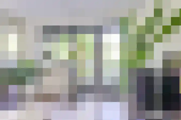 Weesdijk 50 g Vianen thumbnail 11