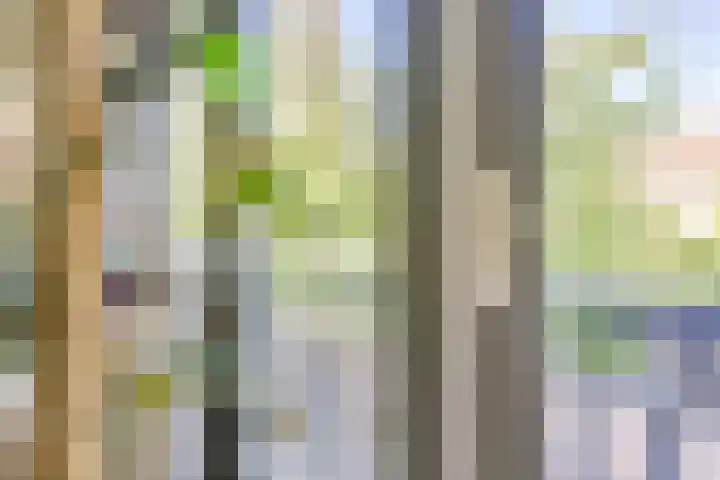 Weesdijk 50 g Vianen thumbnail 12