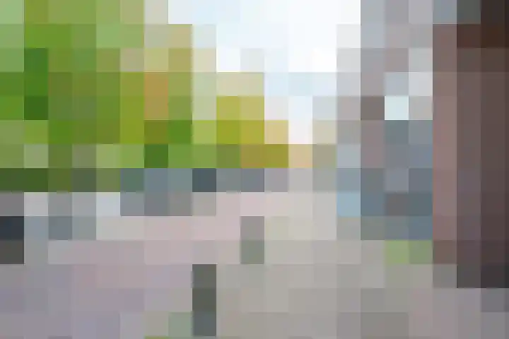 Weesdijk 50 g Vianen thumbnail 49