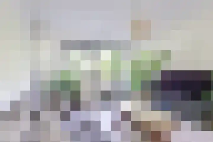 Weesdijk 50 g Vianen thumbnail 9