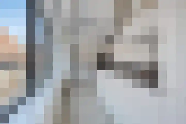 Weeshuisgang 2 11 Groningen thumbnail 15