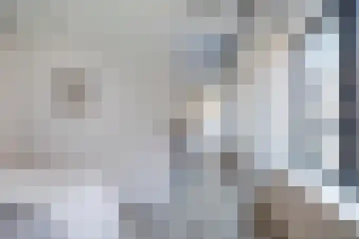 Weeshuisgang 2 11 Groningen thumbnail 27
