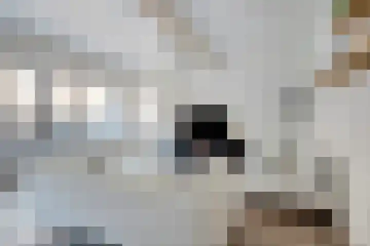 Weeshuisgang 2 11 Groningen thumbnail 8