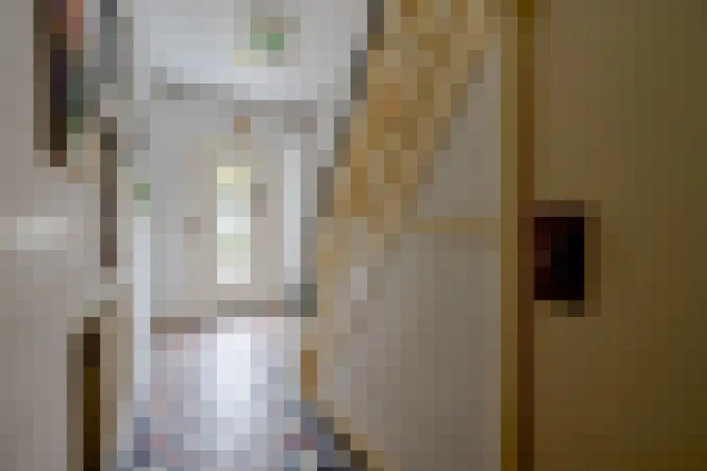Weeshuislaan 12 A Zeist thumbnail 16