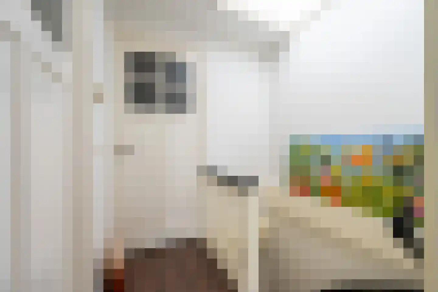 Weeshuislaan 12 A Zeist thumbnail 19