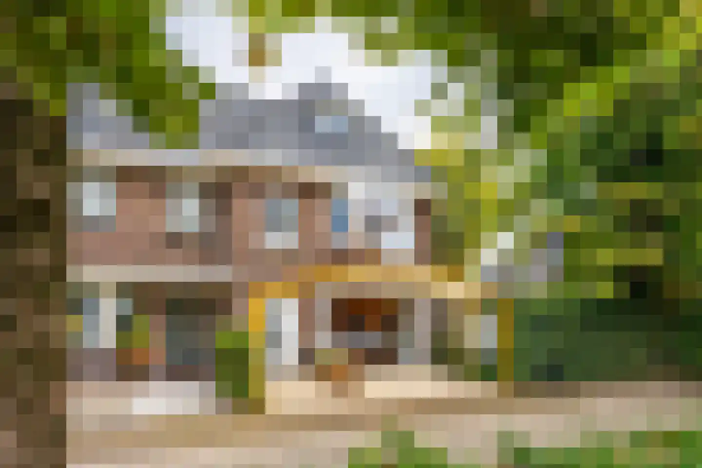 Weeshuislaan 12 A Zeist thumbnail 30