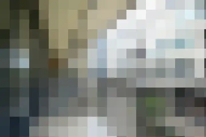 Weeshuislaan 151 Zeist thumbnail 12