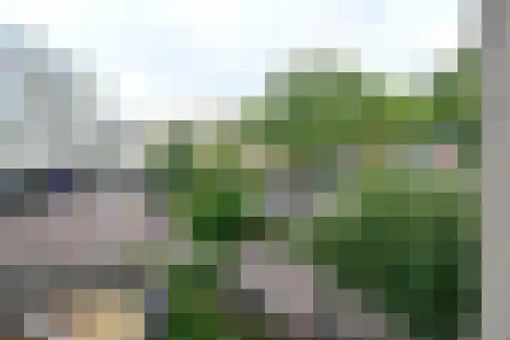 Weeshuislaan 151 Zeist thumbnail 17