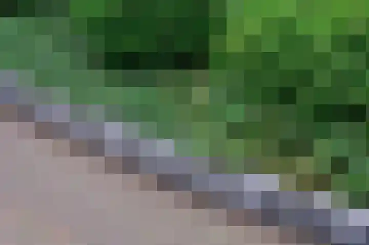 Weeshuislaan 151 Zeist thumbnail 22