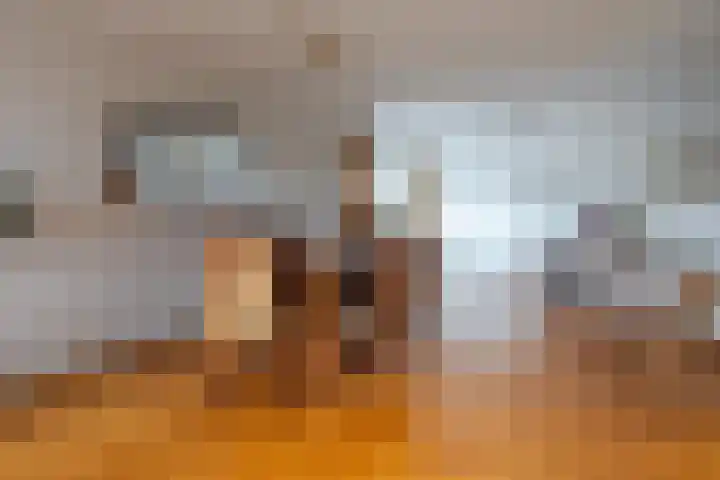 Weeshuislaan 197 Zeist thumbnail 10