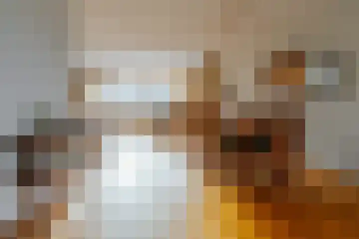 Weeshuislaan 197 Zeist thumbnail 11