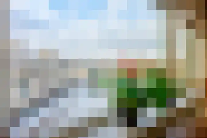 Weeshuislaan 197 Zeist thumbnail 13