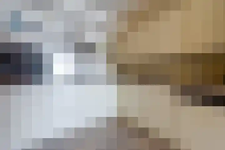 Weeshuislaan 197 Zeist thumbnail 17