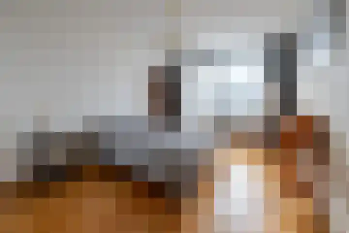 Weeshuislaan 197 Zeist thumbnail 19
