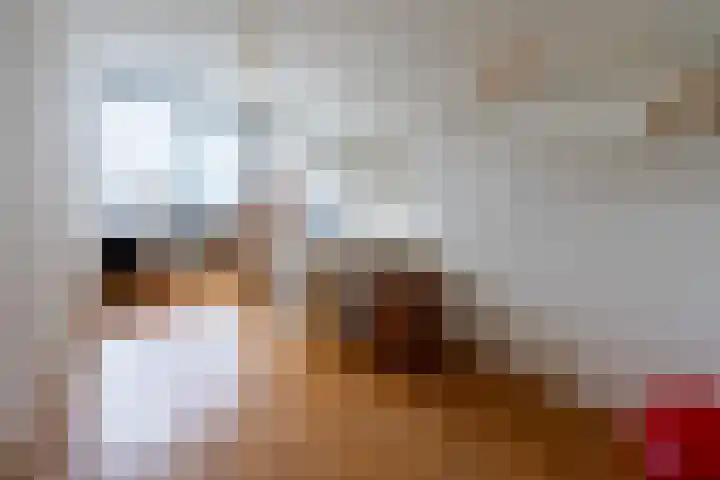 Weeshuislaan 197 Zeist thumbnail 21