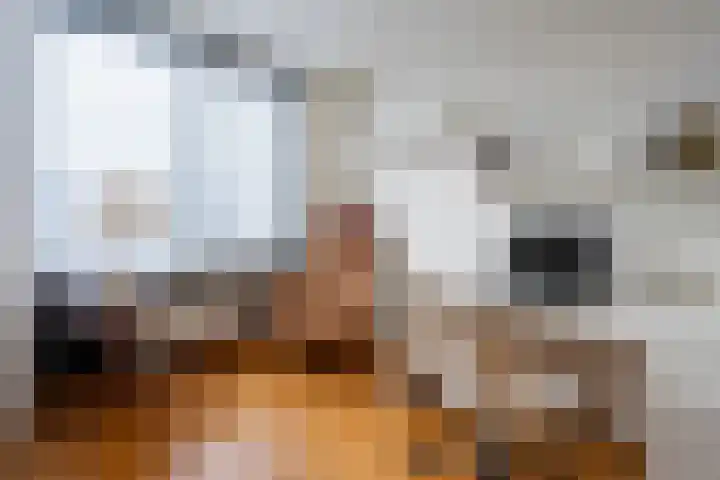 Weeshuislaan 197 Zeist thumbnail 22