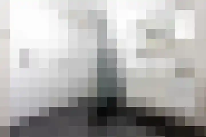 Weeshuislaan 197 Zeist thumbnail 23
