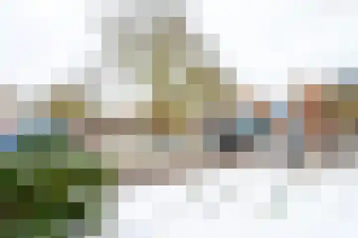 Weeshuislaan 197 Zeist thumbnail 32