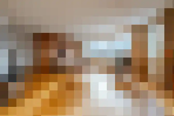 Weeshuislaan 197 Zeist thumbnail 4