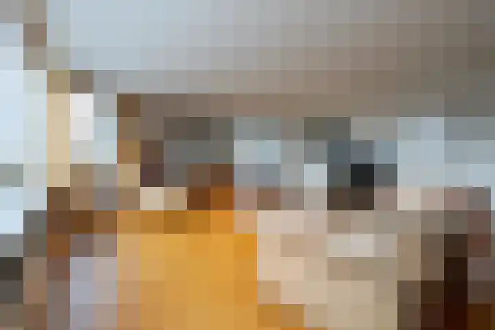 Weeshuislaan 197 Zeist thumbnail 9