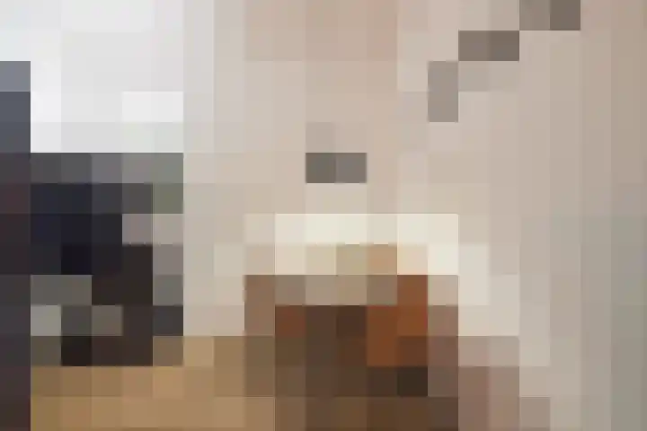 Weeshuislaan 36 A Zeist thumbnail 5